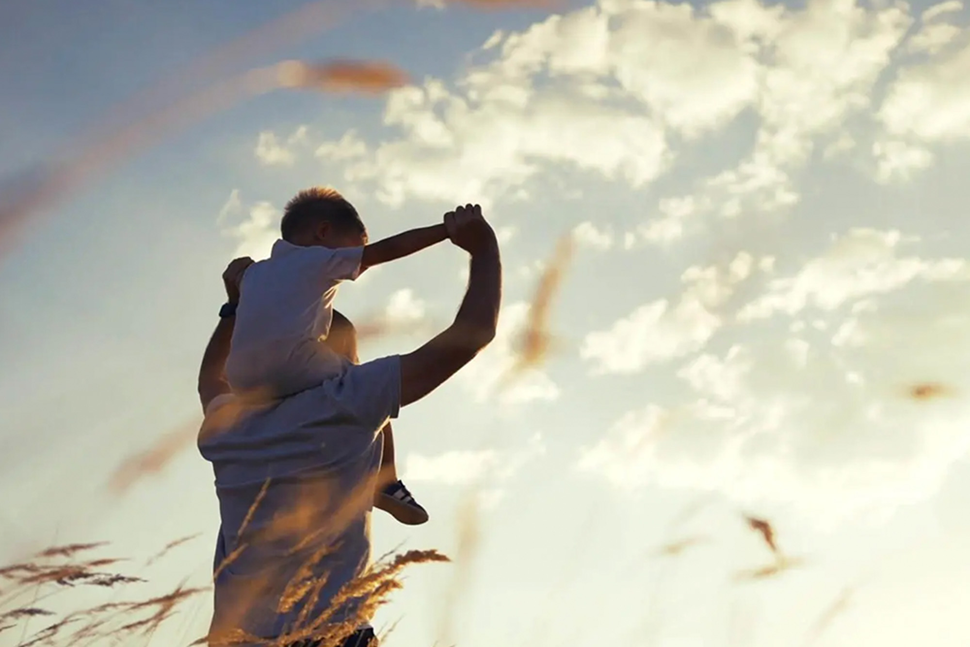 Beleidsplan Ruimte Vlaanderen: ook jouw mening telt