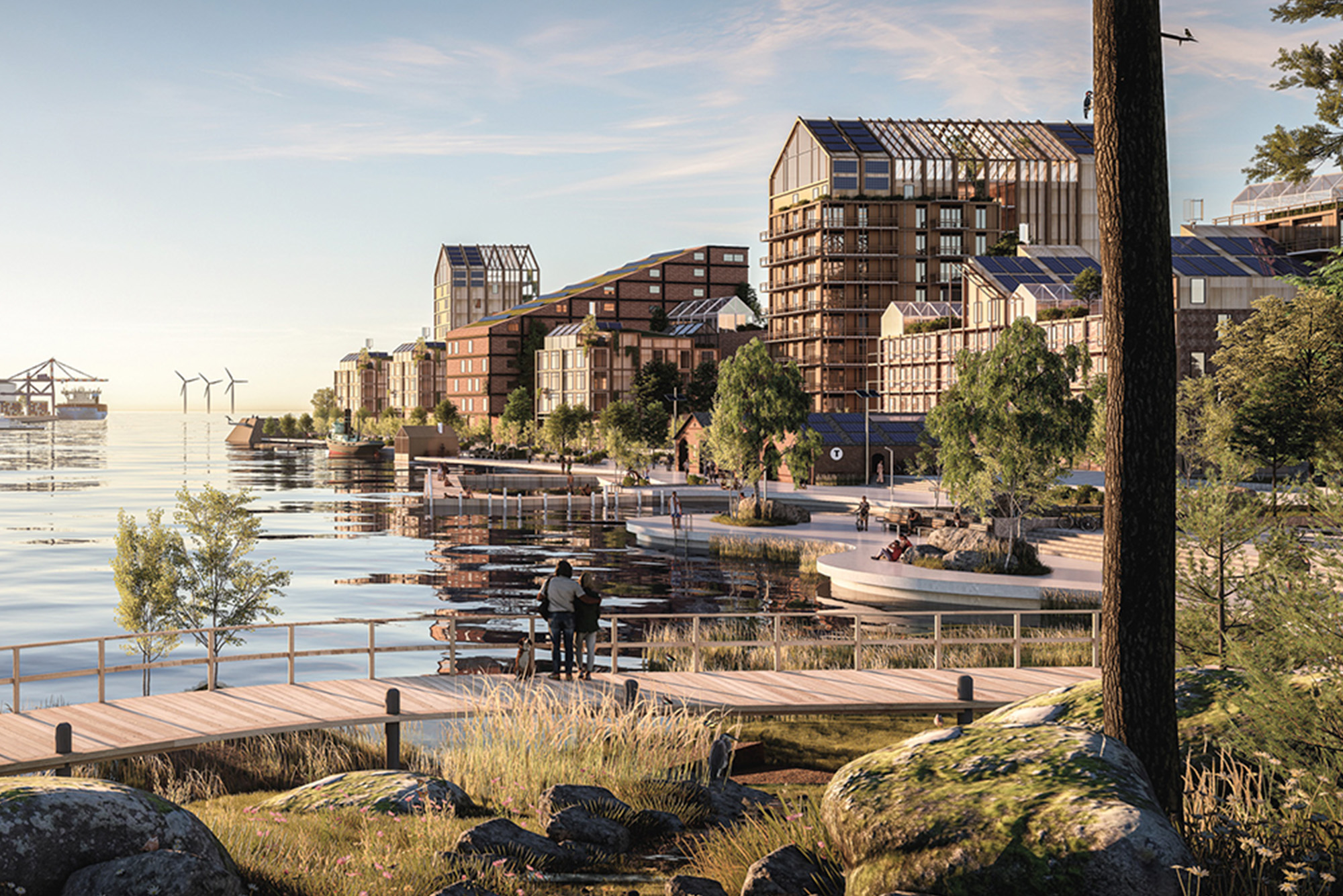 Biodiversiteit in de praktijk: van verlies naar vooruitgang