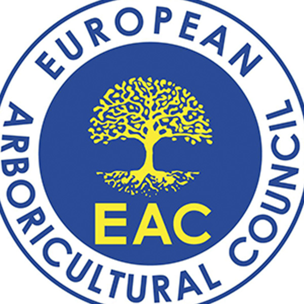 architectenkrant-newsletter-architecture