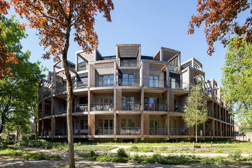 Wonen tussen de bomen