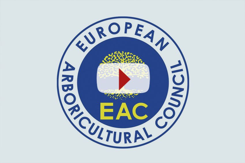 European City of Trees Award 2025 gaat naar Hamburg