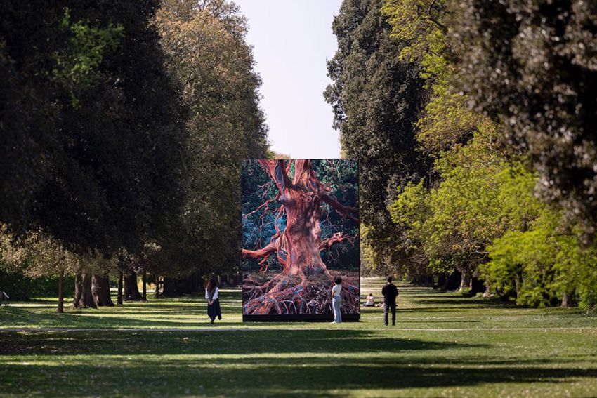 Een digitale dubbelganger van een boom