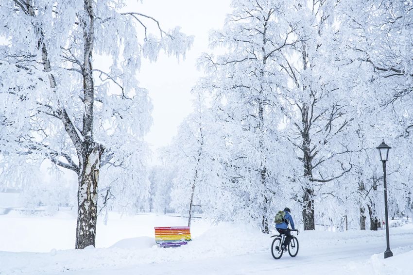 Noorwegen onderzoekt nature based solutions via de 3+30+300 regel