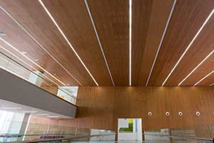 Panelen en cassettes van gefineerd hout